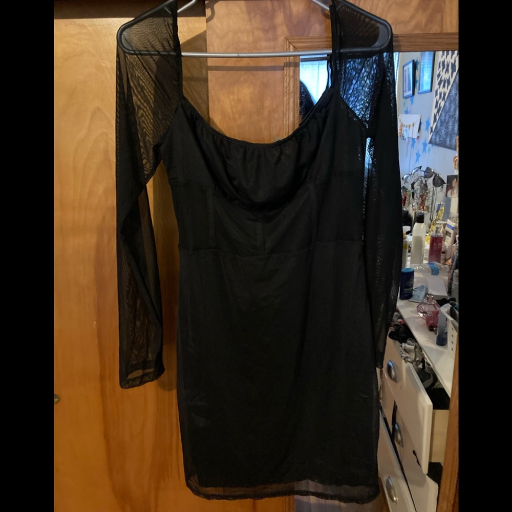 Shein Bodycon Mesh Dress